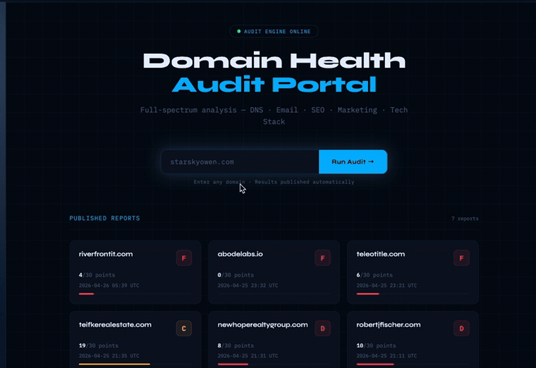 Animated preview of the Next‑Gen‑IT audit portal